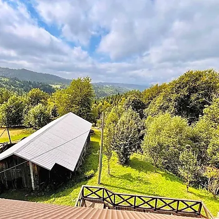 Alpejski Azyl Ferienpark