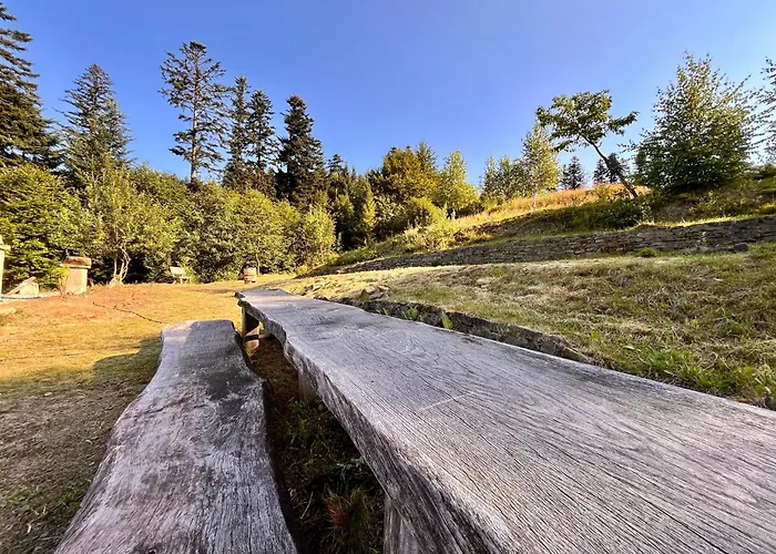 Alpejski Azyl * ויסלאו